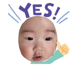 672550339