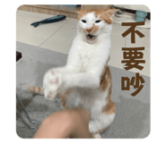 672551620