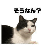672561556