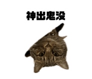 672561558