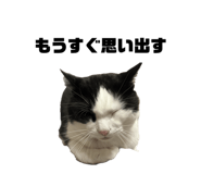 672561561