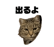 672561563