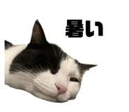 672561565