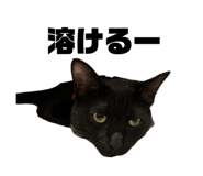 672561582