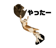 672561585