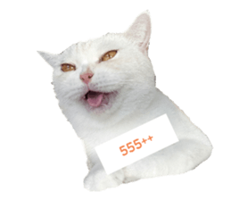 672562886