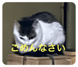 672591065