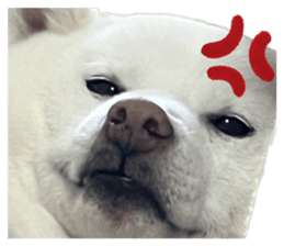 672605336
