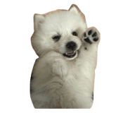 672698718