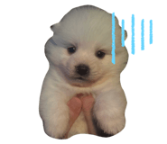 672698719