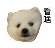 672698720