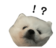 672698724