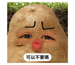 672704566