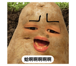672704567