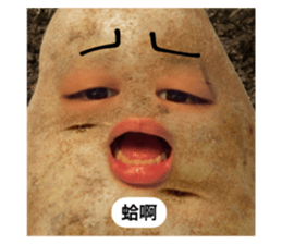 672704569