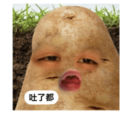 672704576