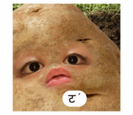 672704579