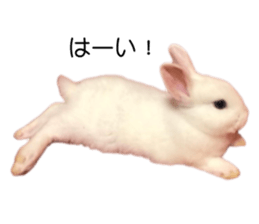 672738890