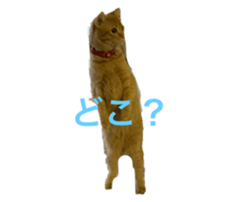 672746472