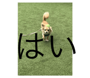 672791623