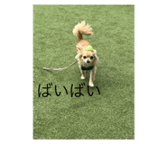 672791626