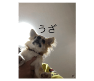 672791633