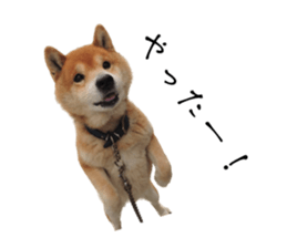 672792714