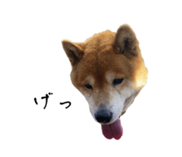 672792720