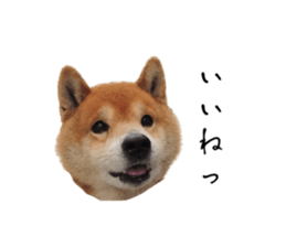 672792722