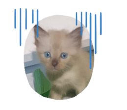 672793828