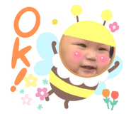 672814875