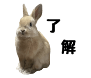 672837398