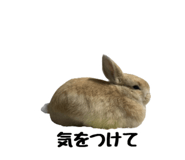 672837400