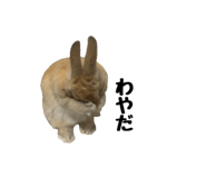 672837402