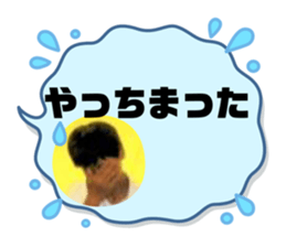 672850003
