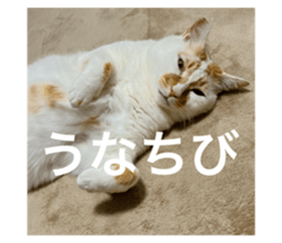 672858055
