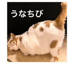672858056