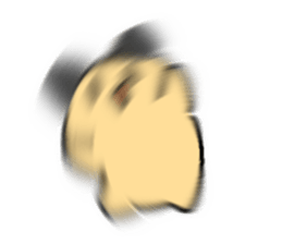 672863840