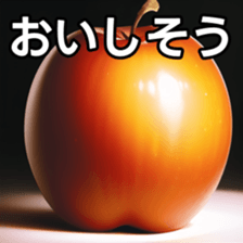 672880869