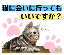 672900117