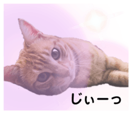 672904096