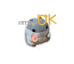 672906244