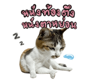 672908121