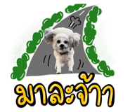 672908134