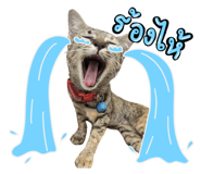 672908136