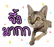 672908138