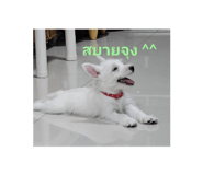 672914226