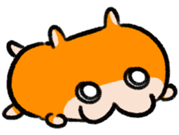 672922389