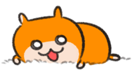 672922397