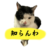 672959000